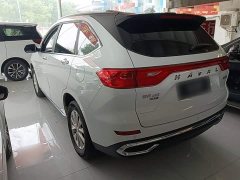 Haval M6 PLUS 1.5T Manual Luxury Smart Connected Edition - ფოტო 5