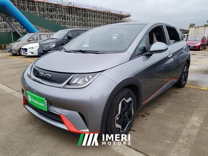 BYD Dolphin 405km Fashion Edition - ავტომობილი ჩინეთიდან