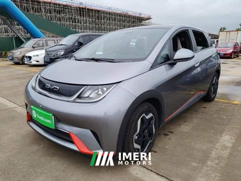 2022 BYD Dolphin 405km Fashion Edition - ავტომობილი ჩინეთიდან