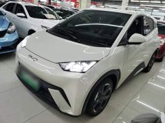 BYD Seagull 2025 305km Freedom Edition - ფოტო 2