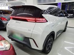 BYD Seagull 2025 305km Freedom Edition - ფოტო 5