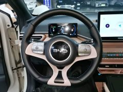 BYD Seagull 2025 305km Freedom Edition - ფოტო 7