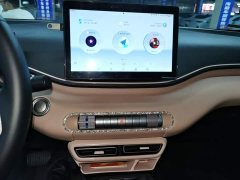 BYD Seagull 2025 305km Freedom Edition - ფოტო 9