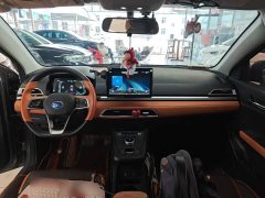 BYD e2 2021 Luxury - ფოტო 10