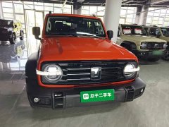 Tank 300 2.0T Gasoline Conqueror - ფოტო 3