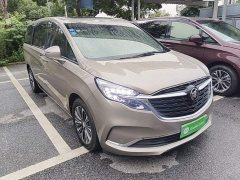 Buick GL8 ES Land Respect 653T Luxury - ფოტო 4