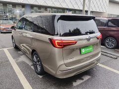 Buick GL8 ES Land Respect 653T Luxury - ფოტო 5