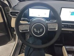 Wuling Binguo PLUS 330km 5-Seater - ფოტო 11