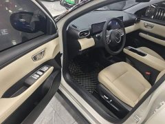 Wuling Binguo PLUS 330km 5-Seater - ფოტო 16