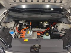 Wuling Binguo PLUS 330km 5-Seater - ფოტო 20