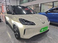 Wuling Binguo PLUS 330km 5-Seater - ფოტო 4