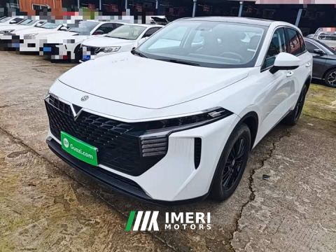 2023 Venucia Dà V 260T Idol Edition Pro