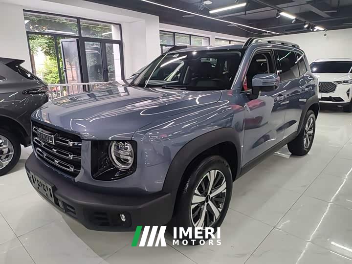 Great Wall Dachshund 2021 1.5T DCT Two-Wheel Drive Labrador Edition - ავტომობილი ჩინეთიდან