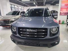 Great Wall Dachshund 2021 1.5T DCT Two-Wheel Drive Labrador Edition - ფოტო 3