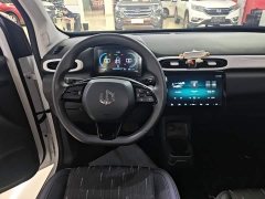 Leapmotor T03 310 Comfort Edition - ფოტო 11