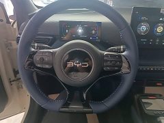 BYD Seagull Glory Edition 305km Freedom Version - ფოტო 11