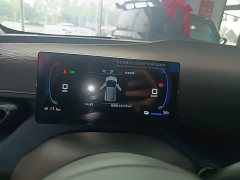 BYD Seagull Glory Edition 305km Freedom Version - ფოტო 12