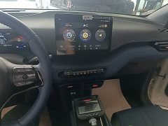 BYD Seagull Glory Edition 305km Freedom Version - ფოტო 13