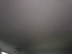 BYD Seagull Glory Edition 305km Freedom Version - ფოტო 18