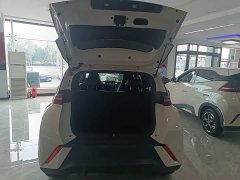 BYD Seagull Glory Edition 305km Freedom Version - ფოტო 19