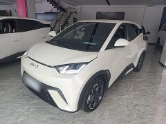 BYD Seagull Glory Edition 305km Freedom Version - ფოტო 2