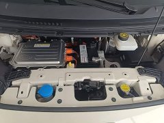BYD Seagull Glory Edition 305km Freedom Version - ფოტო 20