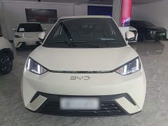 BYD Seagull Glory Edition 305km Freedom Version - ფოტო 3