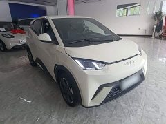 BYD Seagull Glory Edition 305km Freedom Version - ფოტო 4