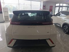 BYD Seagull Glory Edition 305km Freedom Version - ფოტო 6