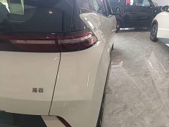 BYD Seagull Glory Edition 305km Freedom Version - ფოტო 8