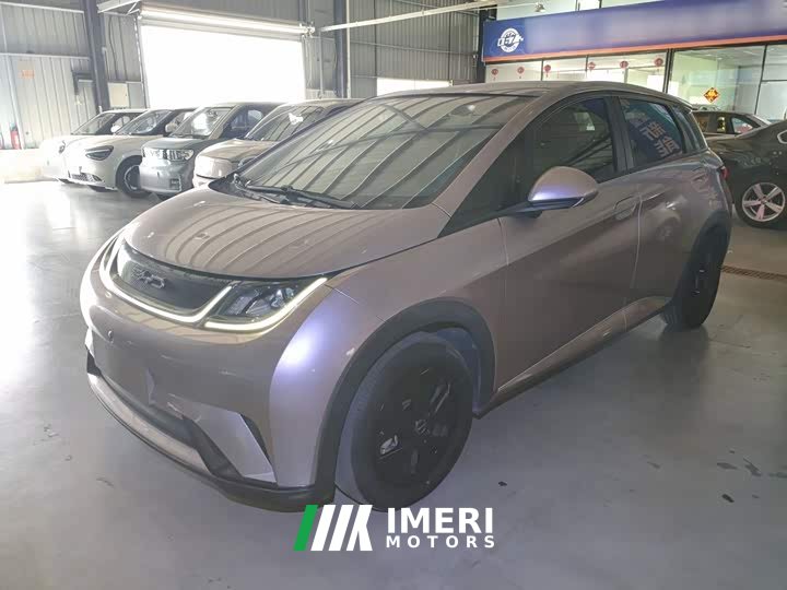 BYD Dolphin 405km Fashion Edition - ავტომობილი ჩინეთიდან