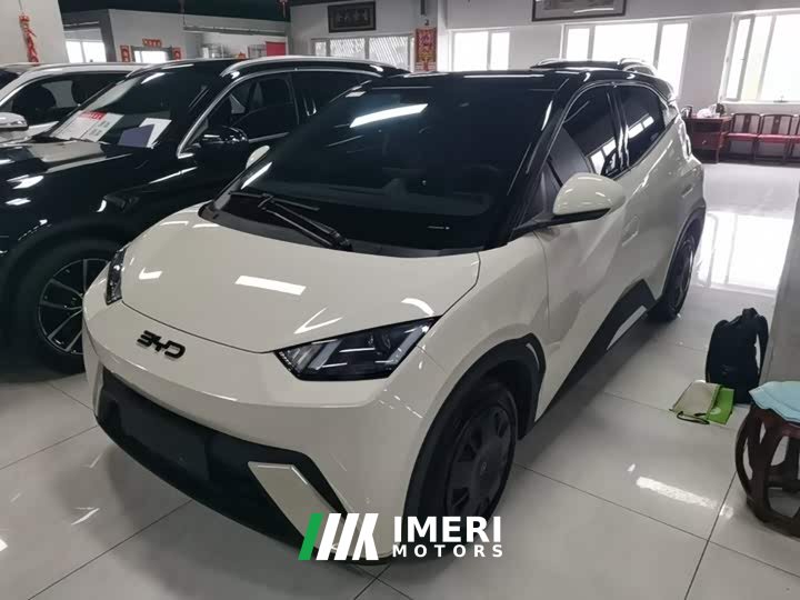 BYD Seagull Glory Edition 305km Freedom Version - ავტომობილი ჩინეთიდან