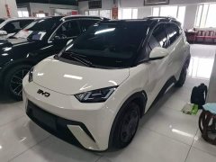 BYD Seagull Glory Edition 305km Freedom Version - ფოტო 1