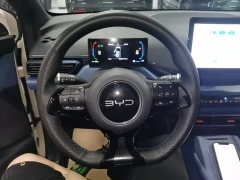 BYD Seagull Glory Edition 305km Freedom Version - ფოტო 11