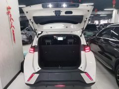 BYD Seagull Glory Edition 305km Freedom Version - ფოტო 19