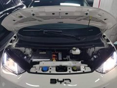 BYD Seagull Glory Edition 305km Freedom Version - ფოტო 20