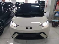 BYD Seagull Glory Edition 305km Freedom Version - ფოტო 3