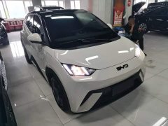BYD Seagull Glory Edition 305km Freedom Version - ფოტო 4