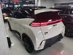 BYD Seagull Glory Edition 305km Freedom Version - ფოტო 5