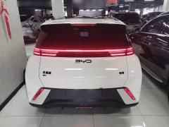 BYD Seagull Glory Edition 305km Freedom Version - ფოტო 6