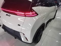 BYD Seagull Glory Edition 305km Freedom Version - ფოტო 8