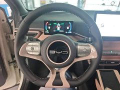 BYD Seagull Flying Edition - ფოტო 11