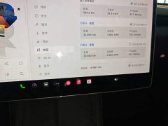 Tesla Model 3 2023 Rear-Wheel Drive - ფოტო 12