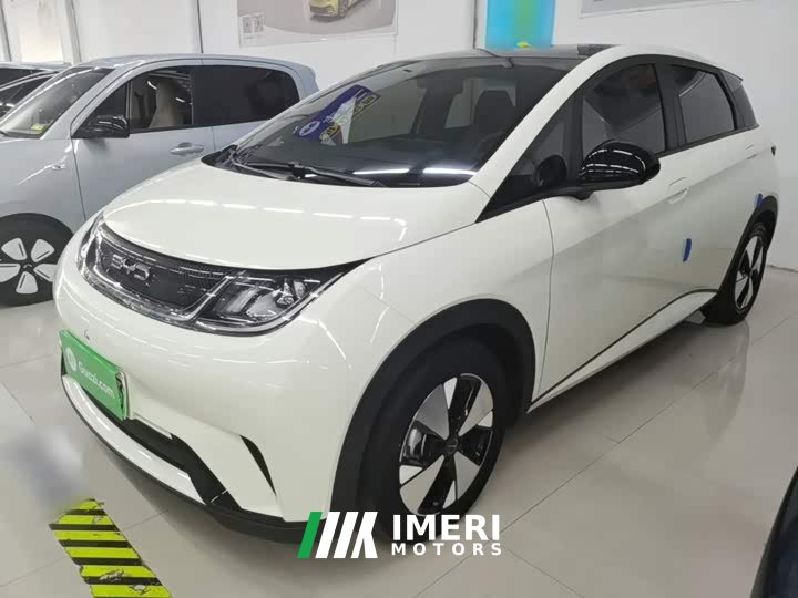 BYD Dolphin 420km Fashion Edition - ავტომობილი ჩინეთიდან