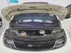 BYD Dolphin 420km Fashion Edition - ფოტო 20