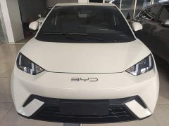BYD Seagull 2023 Vitality Edition - ფოტო 3