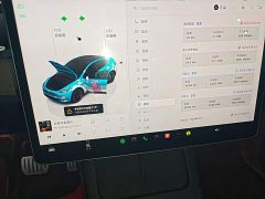 Tesla Model Y 2022 Facelift Rear-Wheel Drive - ფოტო 12