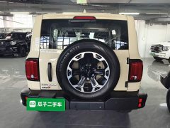 Tank 300 New Energy Hi4-T 37.1kWh - ფოტო 6