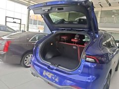 Dongfeng Fenxing T5 EVO 2021 1.5T DCT Diamond Edition - ფოტო 19