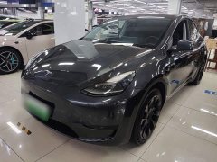 Tesla Model Y Rear-Wheel Drive - ფოტო 1